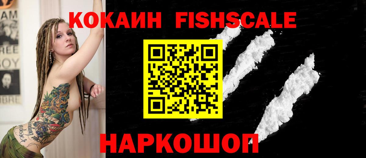 Cocaine FishScale  купить закладку  Кисловодск  Вход с VPN  Cocaine Эквадор 
