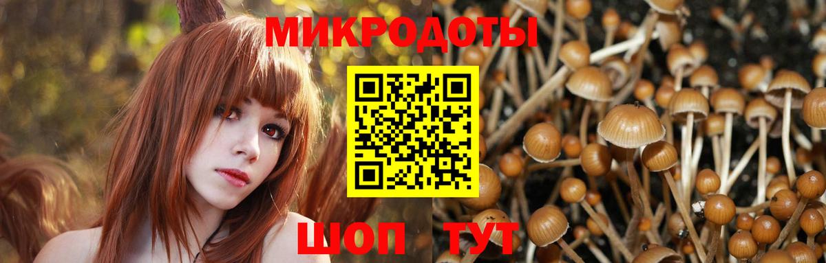 продажа наркотиков  Псилоцибиновые грибы MAGIC MUSHROOMS  Кисловодск  Вход с VPN  Галлюциногенные грибы Cubensis 